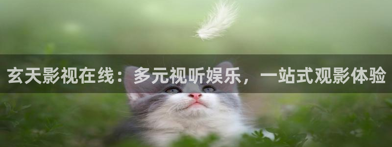 韩国影视免费在线观看：玄天影视在线：多元视听娱乐，一站式观影体验