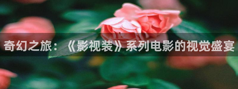 韩国影视在线免费观看：奇幻之旅：《影视装》系列电影的视觉盛宴