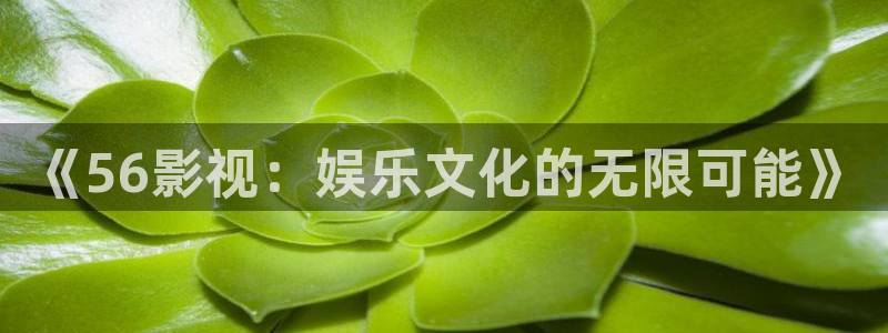 韩国影视免费观看：《56影视：娱乐文化的无限可能》
