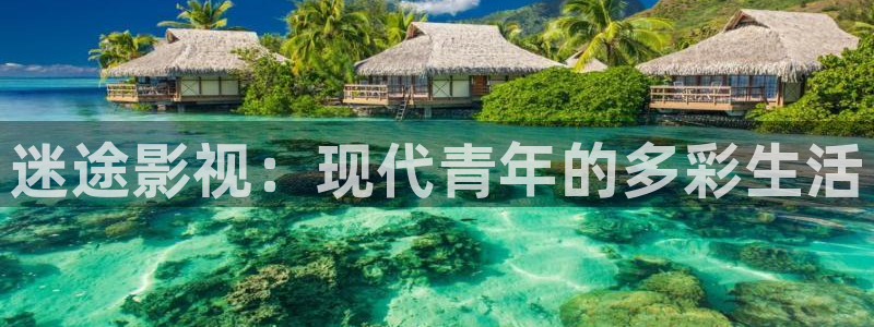 穿梭在韩国影视世界的小说：迷途影视：现代青年的多彩生活