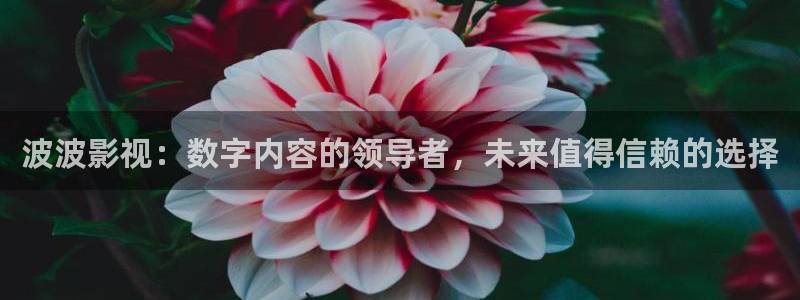 韩国影视在线免费观看：波波影视：数字内容的领导者，未来值得信赖的选择