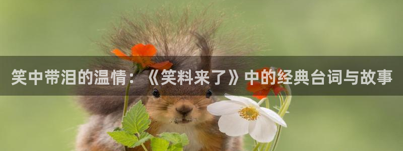 韩国影视免费观看：笑中带泪的温情：《笑料来了》中的经典台词与故事