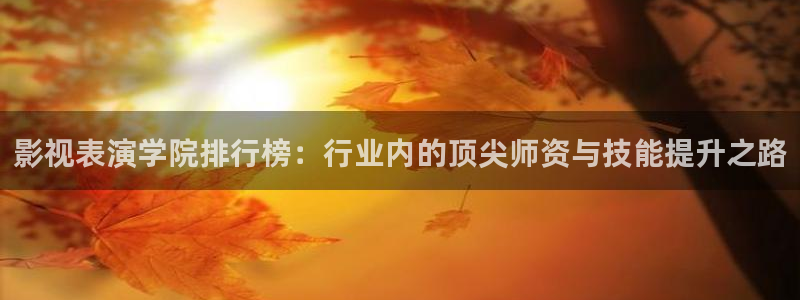 韩国影视在线免费观看：影视表演学院排行榜：行业内的顶尖师资与技能提升之路