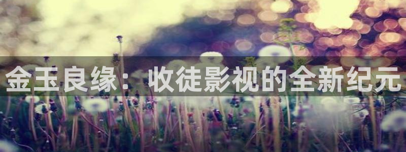 必胜韩国影视：金玉良缘：收徒影视的全新纪元