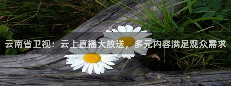 韩国影视推荐：云南省卫视：云上直播大放送，多元内容满足观众需求