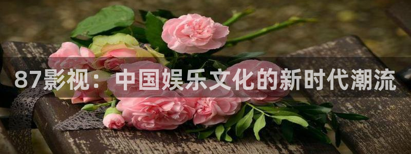 韩国影视免费观看：87影视：中国娱乐文化的新时代潮流