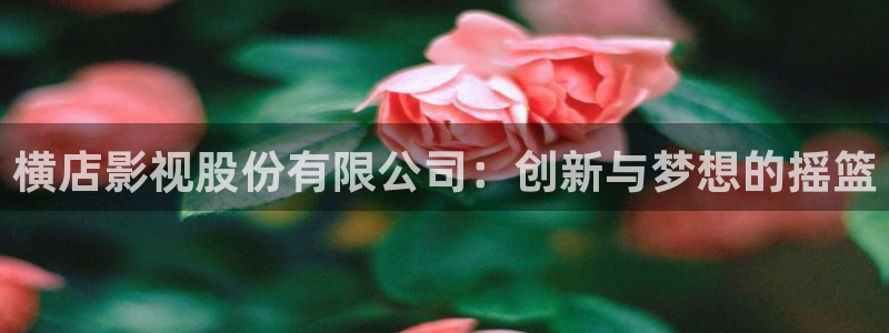 韩国影视免费观看：横店影视股份有限公司：创新与梦想的摇篮